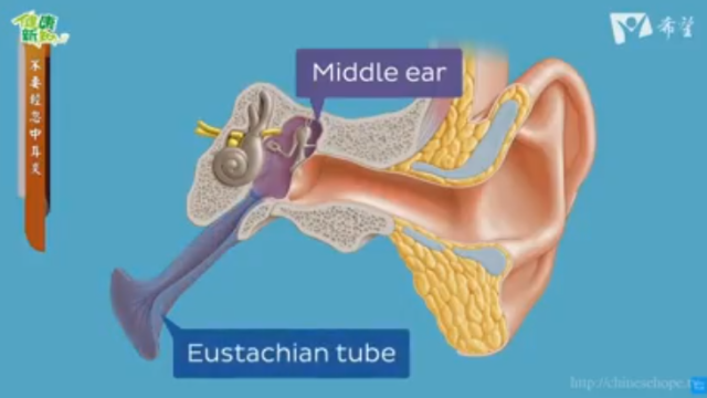 934.不要輕忽中耳炎 